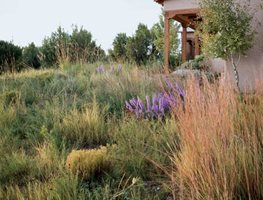 Garden Design
Calimesa, CA