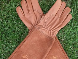 Rose Pruning Gloves
Garden Design
Calimesa, CA