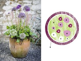 Ornamental Onion, Container Garden
Garden Design
Calimesa, CA