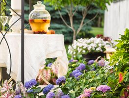 Summer Garden Ideas Design Summer Garden Ideas Design