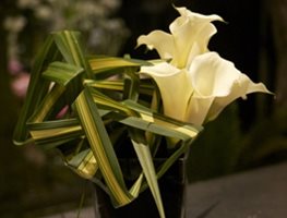 Bruno Duarte: Step by Step Floral Design
Garden Design
Calimesa, CA