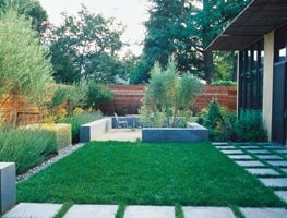 Minimalist Garden, Small Lawn
Ground Studio
Monterey, CA