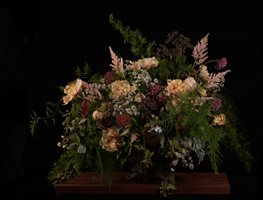 Asrai-Flowers-1
Garden Design
Calimesa, CA