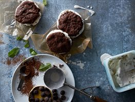 Mint Chip Ice Cream, Ice Cream Sandwiches
Garden Design
Calimesa, CA