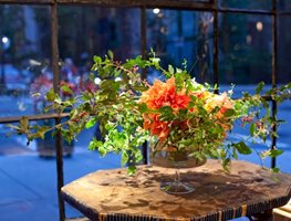 FlowerSchool New York: Master Class with Ariella Chezar
Garden Design
Calimesa, CA