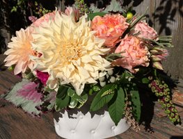 Dahlia, Summer Flowers, Fiori Floral Design
Fiori Floral Design
Seattle, WA