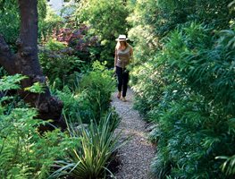 Gravel Path  "Dream Team's" Portland Garden  Commune Design  Los Angeles, CA