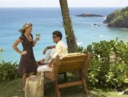 Hawaiian Recipes
Garden Design
Calimesa, CA