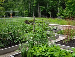 Bountiful
"Dream Team's" Portland Garden
McCullough's Landscape & Nursery LLC
Johnstown, OH