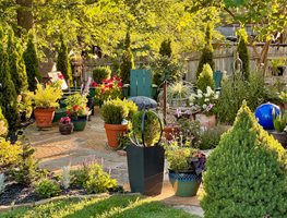 Springfield Garden, Missouri Garden
Garden Design
Calimesa, CA