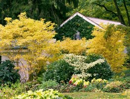 Fall Garden
Garden Design
Calimesa, CA