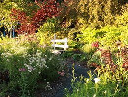 Garden Path With Abundant Plants
Garden Design
Calimesa, CA