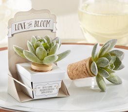 Succulent Bottle Stopper
Garden Design
Calimesa, CA