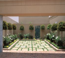 Manicured trees - Photo by: Jerry Harpur.