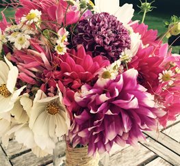 Dahlias, Summer Flowers, Michelle Madonna Designs
Michelle Madonna Design
Southampton, NY