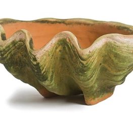 Campo De Flori Conch Shell Planter
Garden Design
Calimesa, CA