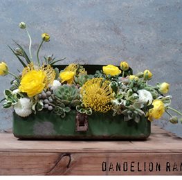 Succulent Floral Arrangement, Succulents, Floral Arrangement
Garden Design
Calimesa, CA