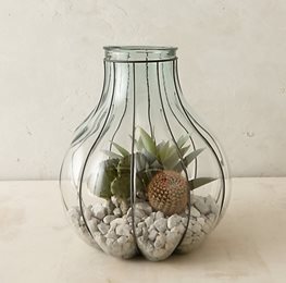 Terrain Terrarium, Terrarium
Garden Design
Calimesa, CA