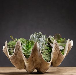 Succulents, Clamshell Container, Container Garden
Garden Design
Calimesa, CA