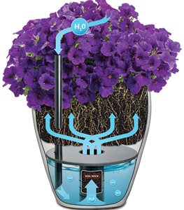 AquaPots Self-Watering Containers