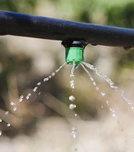 Drip Irrigation