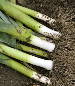 Leeks