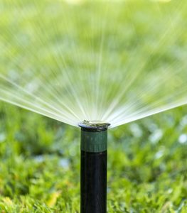 Pop-Up Sprinklers