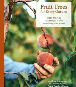 Prune & Spray Fruit Trees
Garden Design
Calimesa, CA