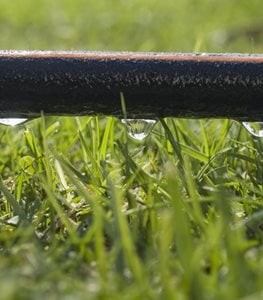 Soaker Hose