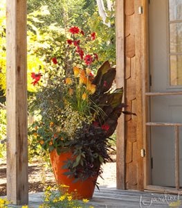 Garden Design
Calimesa, CA