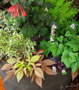 Garden Design
Calimesa, CA