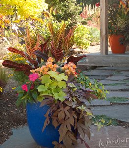 Garden Design
Calimesa, CA