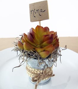 Succulent, Place Setting
Garden Design
Calimesa, CA