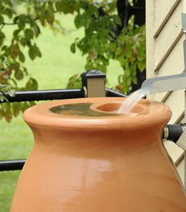 Rain Barrel