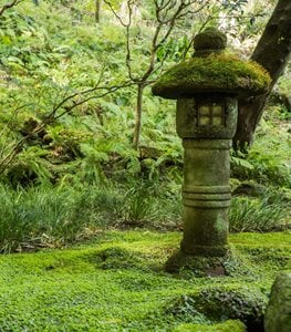 Moss covered statue in Japanese garden