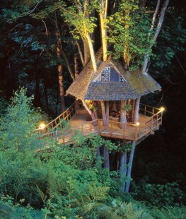 Tree house in Oregon maples - Photo by: Mark Turner.