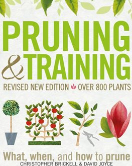 Prune Trees And Shrubs
Garden Design
Calimesa, CA