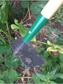 Garden Plant Rule 36inch Essential Tools