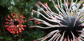 Fiber Optic Flower
Atlanta Botanical Garden
Atlanta, GA