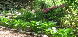 Creating a Shade Garden
Kevin Lee Jacobs
,
