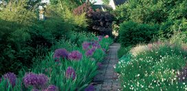 Purple Alliums, White California Poppies
Garden Design
Calimesa, CA