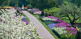 Visit: Spring Blooms at Longwood Gardens
Garden Design
Calimesa, CA
