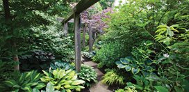 Shade Garden Pictures
Marjorie Harris Designs
Toronto, ON