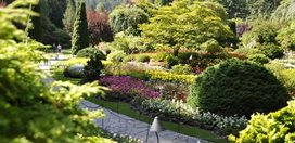 Butchart Sunken Garden
Garden Design
Calimesa, CA