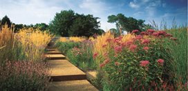 Joe Pye Weed And Persicaria
Garden Design
Calimesa, CA