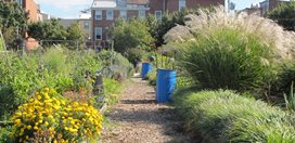 Spring Gardens Community Garden
Garden Design
Calimesa, CA