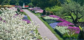 Visit: Spring Blooms at Longwood Gardens
Garden Design
Calimesa, CA