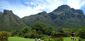 Visiting South Africa's Kirstenbosch
Garden Design
Calimesa, CA