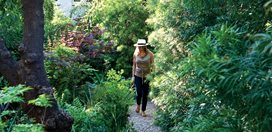 Gravel Path
A Silver Lake Garden: Photo Gallery
Commune Design
Los Angeles, CA