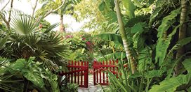 Helen and Brice Marden's Caribbean Hotel, Slide Show
Garden Design
Calimesa, CA